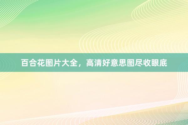 百合花图片大全，高清好意思图尽收眼底