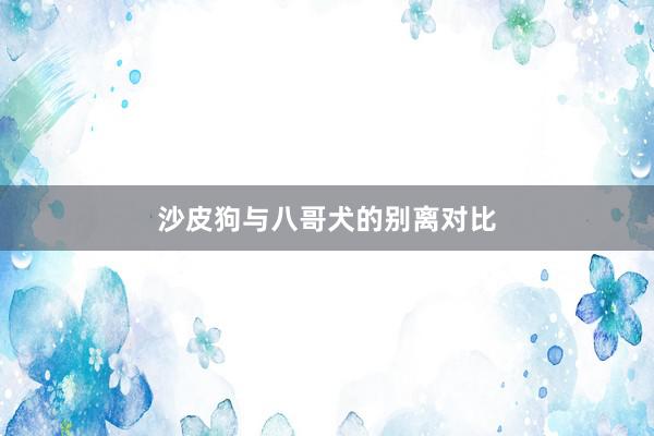 沙皮狗与八哥犬的别离对比