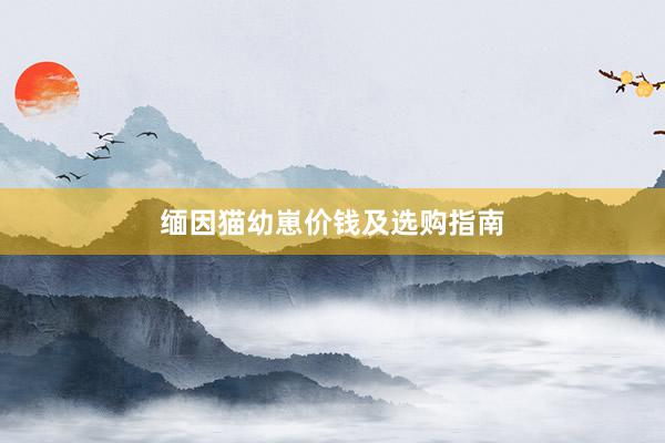 缅因猫幼崽价钱及选购指南