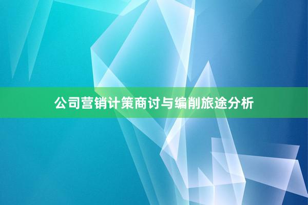 公司营销计策商讨与编削旅途分析
