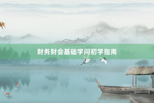 财务财会基础学问初学指南